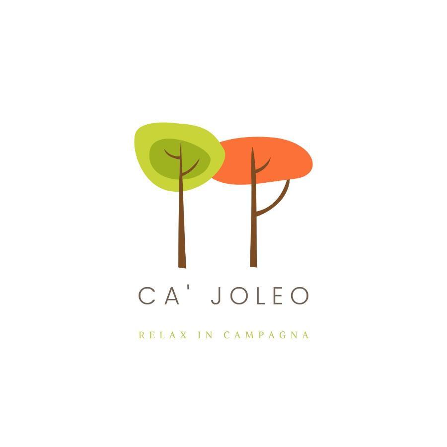 Ca'Joleo - Relax In Campagna Del Lago Di Garda San Giorgio in Salici المظهر الخارجي الصورة
